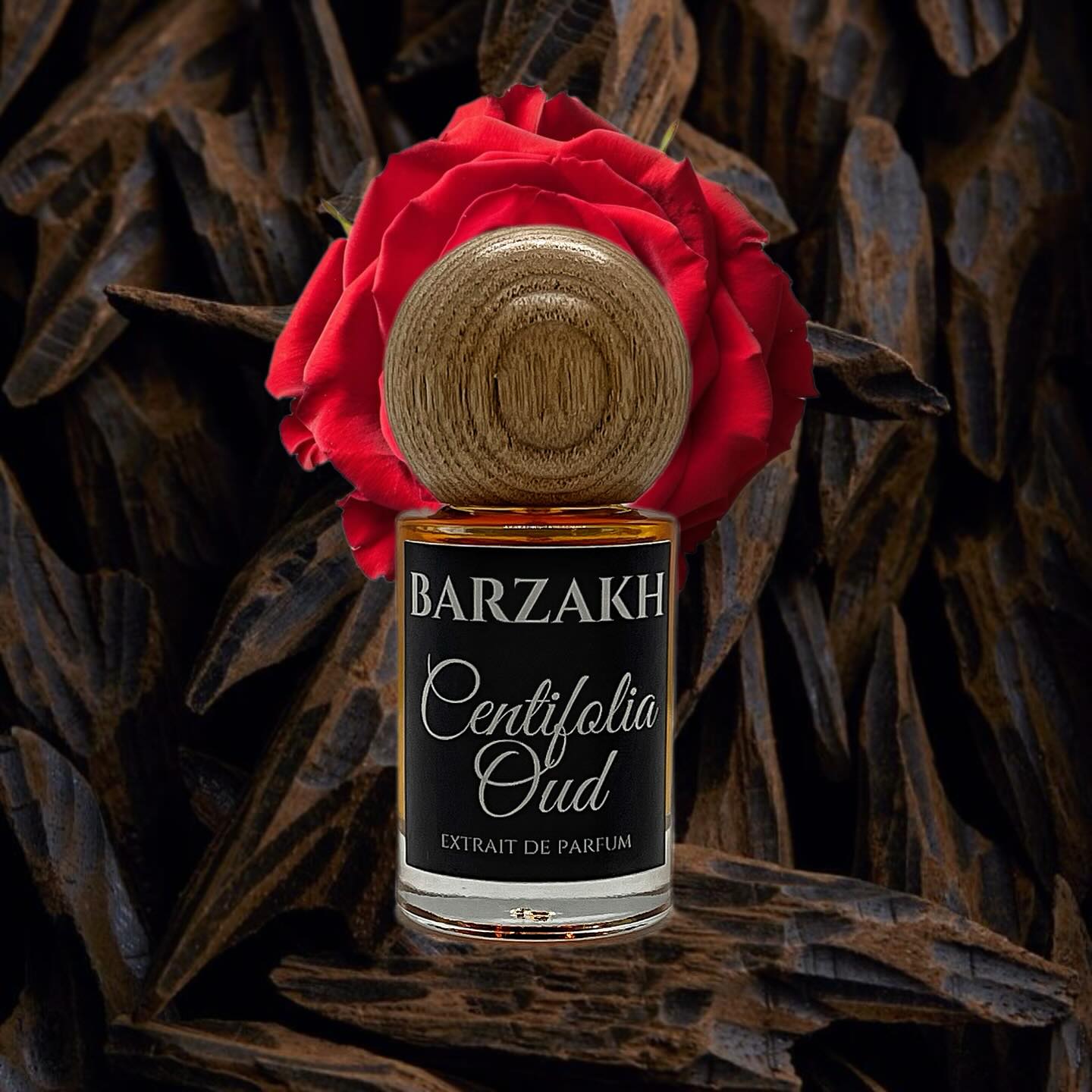 Centifolia Oud
