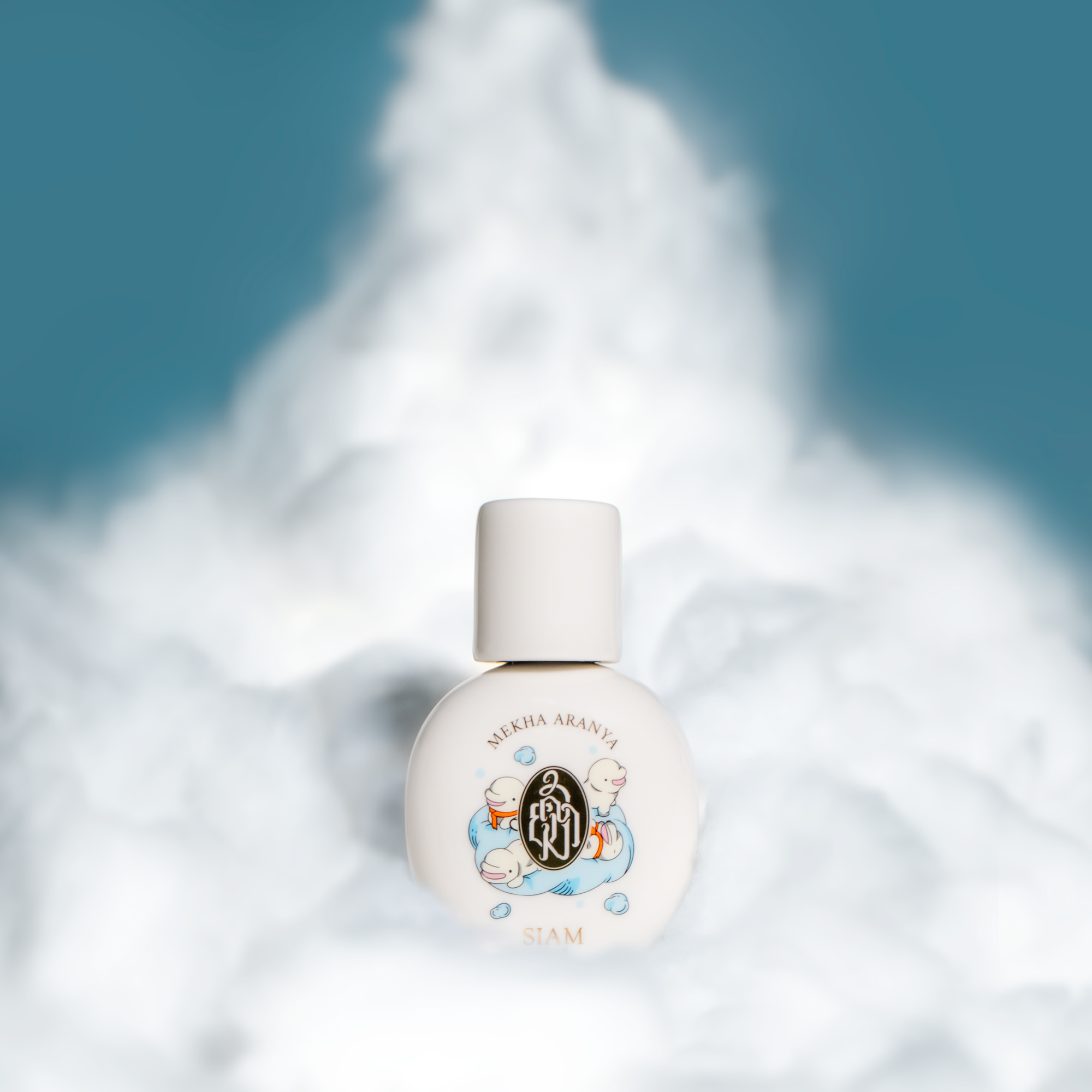 MEKHA ARANYA - Image 4