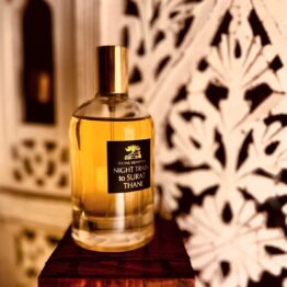 Night Train to Surat Thani