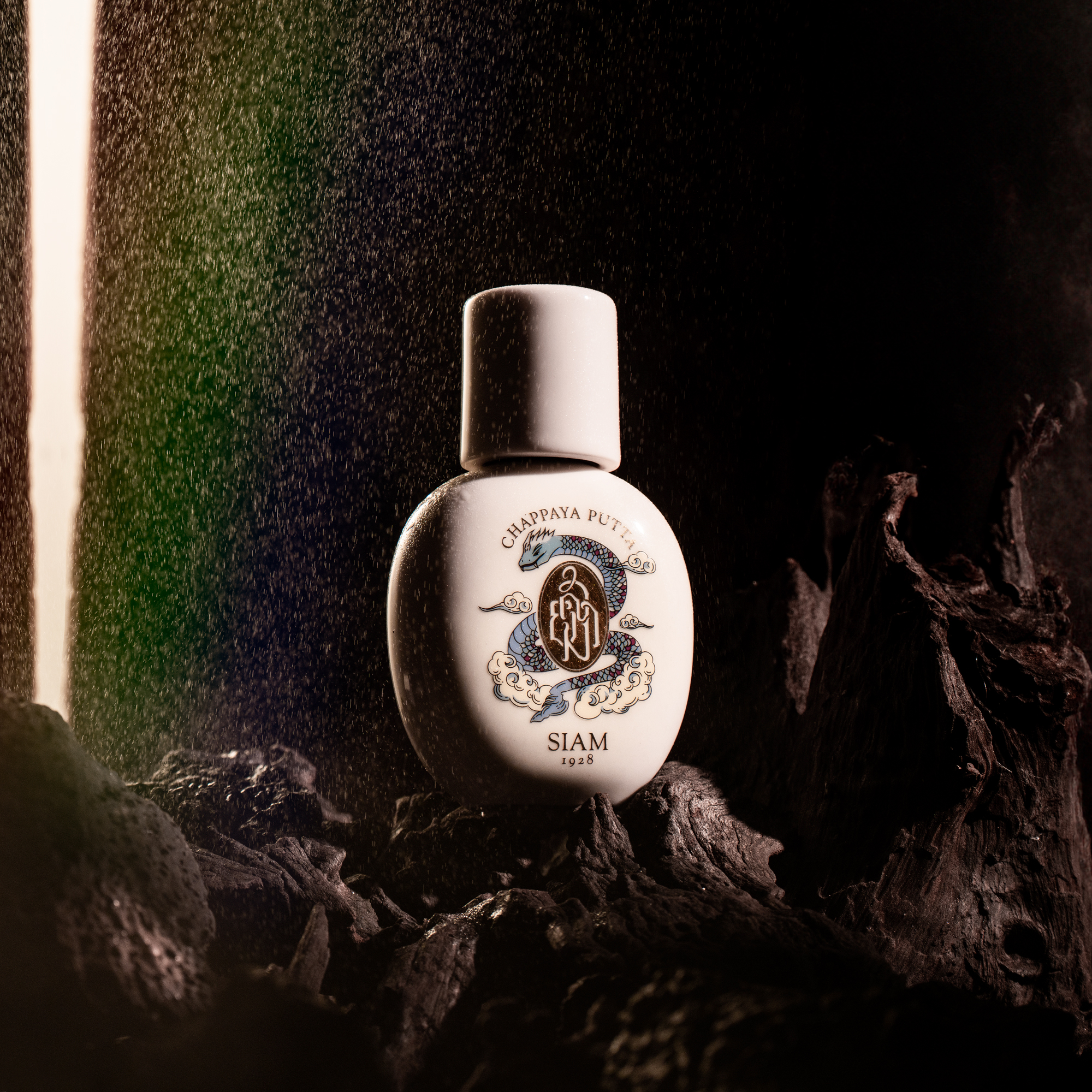 CHAPPAYA PUTTA - Image 2