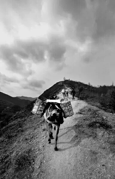 Jade Of Chama - Image 2