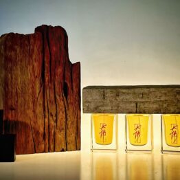 Damfool the 4th Season: The past of Chaiyuan