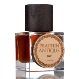 PRACHIN ANTIQUE