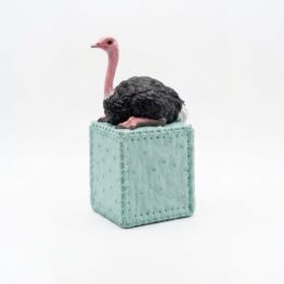 Cluckie Chan