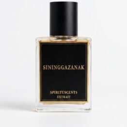 SININGGAZANAK