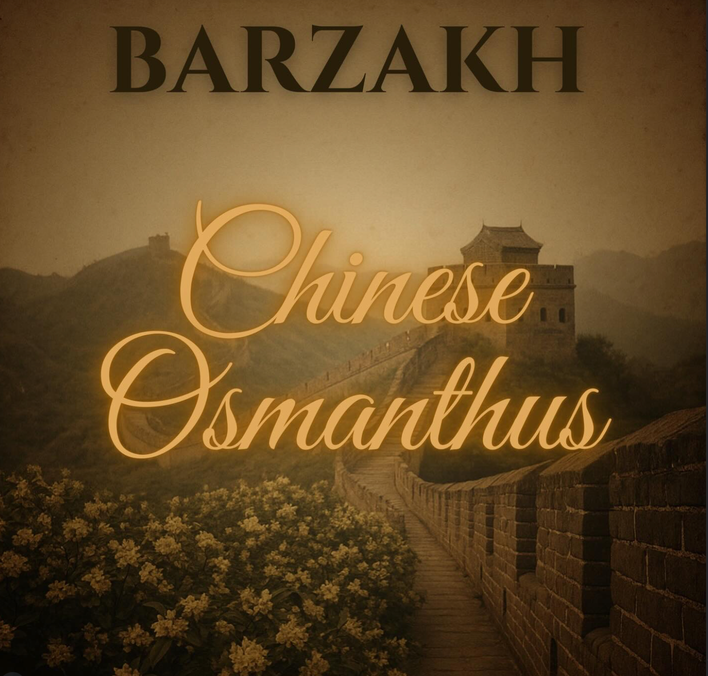 Chinese Osmanthus