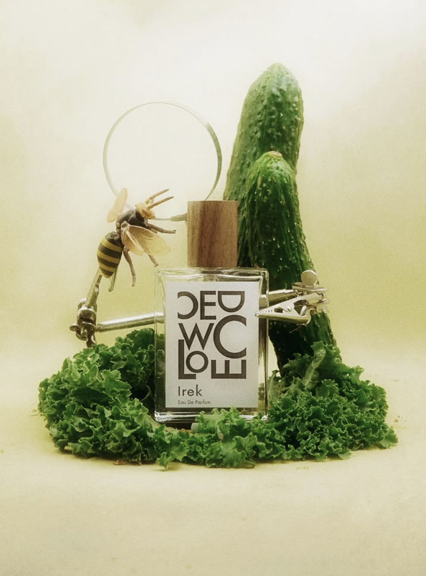 OCO Discovery Set - Image 7