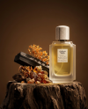 pomelli_photoshoot_image_4_5_0723 (1)